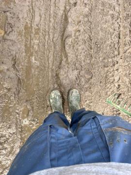 Za 29 srčnih IlirskoBistričanov 4